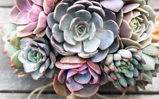 2025甲辰年动土吉日查询 2025年动土装修吉日