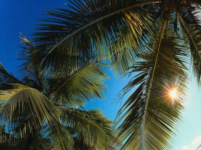 皮文宇BF7UZ31I相关图片 皮文宇BF7UZ31I相关图片