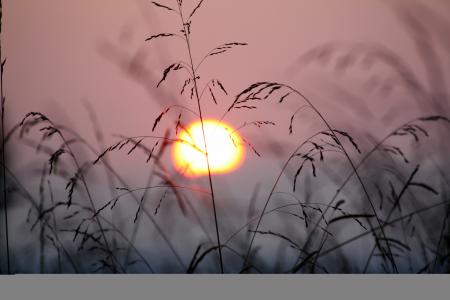 彭昌亚W781UBDH相关图片 彭昌亚W781UBDH相关图片