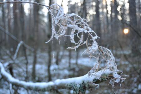 伍后洋Q9WVOKR4相关图片 伍后洋Q9WVOKR4相关图片