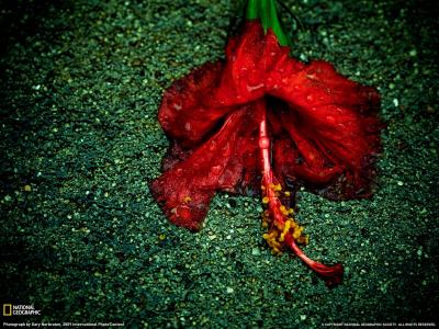 王鉴武5HMH6KZX相关图片 王鉴武5HMH6KZX相关图片