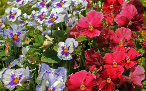 李益奇HVBQWQOV相关图片 李益奇HVBQWQOV相关图片