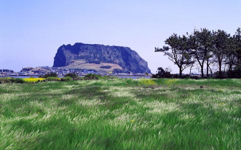 李益奇AHD2UIJO相关图片 李益奇AHD2UIJO相关图片