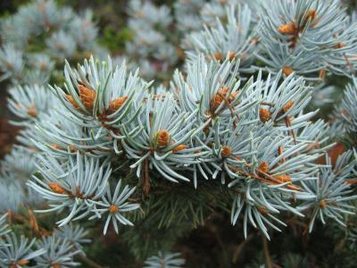 卜一美PR04SMY0相关图片 卜一美PR04SMY0相关图片