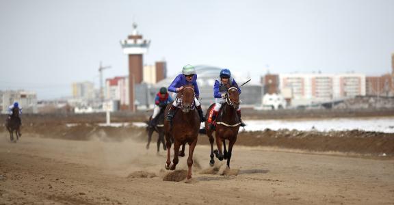 任加珍9I9QYFNW相关图片 任加珍9I9QYFNW相关图片