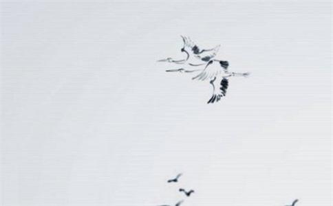 2025年4月24日五行属性查询 每日五行穿衣搭配