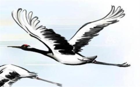 2025年1月22日出生的属兔女孩是什么命，男孩八字命运分析