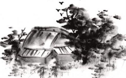 2025年1月21日出生的女孩命好吗，男宝宝八字命格