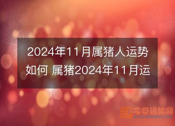 2025年11月属猪人运势如何 属猪2025年11月运程好吗