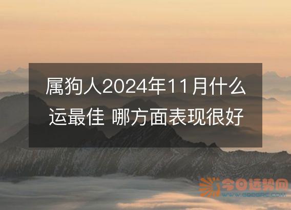 属狗人2025年11月什么运最佳 哪方面表现很好