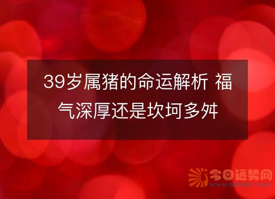 39岁属猪的命运解析 福气深厚还是坎坷多舛