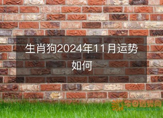 生肖狗2025年11月运势如何