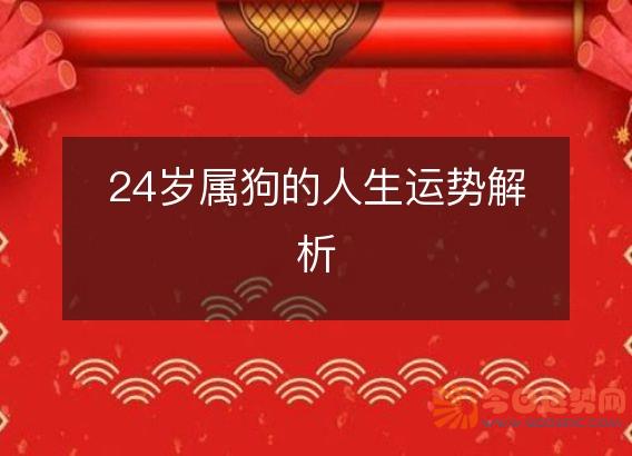 24岁属狗的人生运势解析