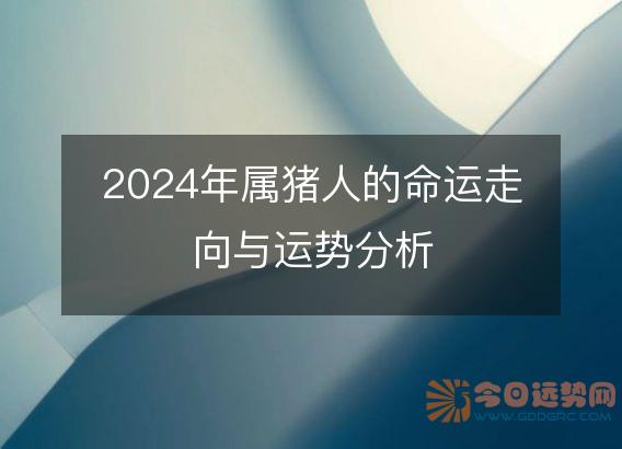 2025年属猪人的命运走向与运势分析