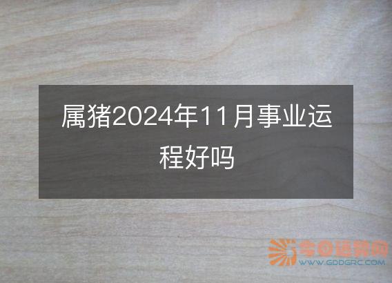 属猪2025年11月事业运程好吗