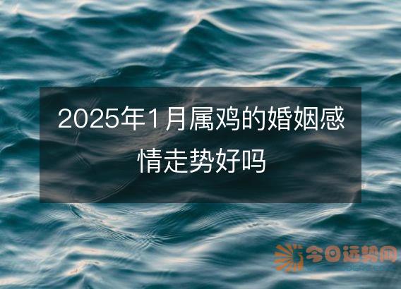 2025年1月属鸡的婚姻感情走势好吗