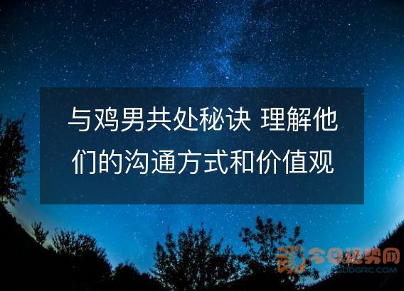与鸡男共处秘诀 理解他们的沟通方式和价值观