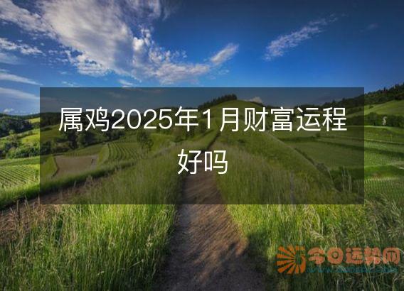 属鸡2025年1月财富运程好吗