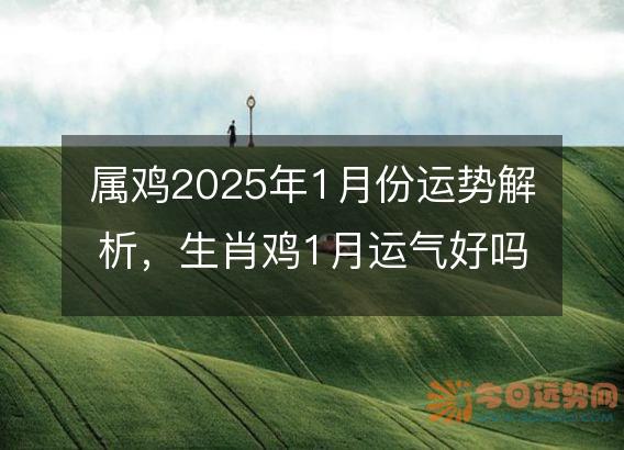 属鸡2025年1月份运势解析,生肖鸡1月运气好吗