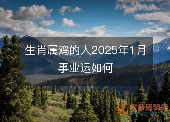 生肖属鸡的人2025年1月事业运如何