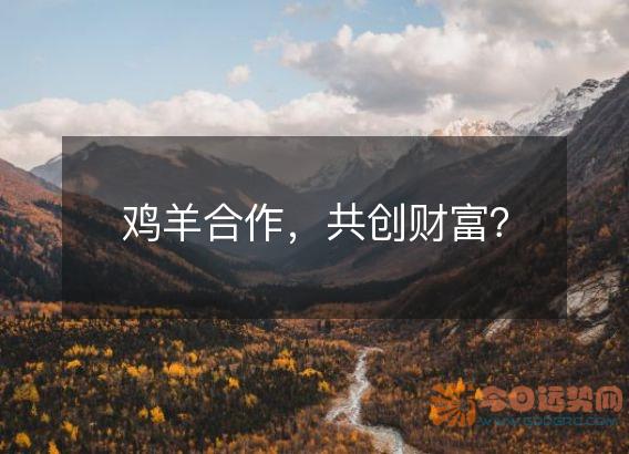 鸡羊合作,共创财富?