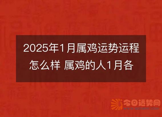 2025年1月属鸡运势运程怎么样 属鸡的人1月各方面运气好不好