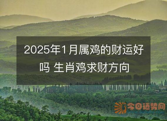 2025年1月属鸡的财运好吗 生肖鸡求财方向