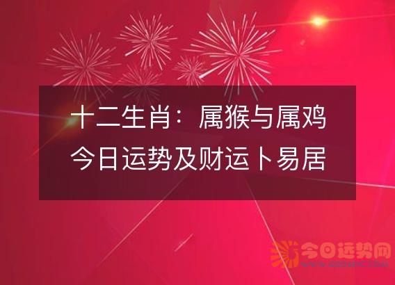 十二生肖:属猴与属鸡今日运势及财运卜易居分析