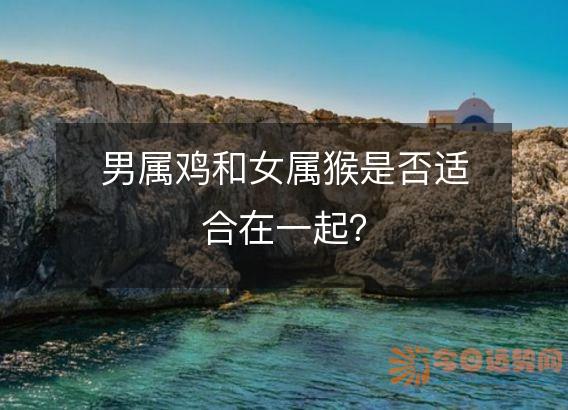 男属鸡和女属猴是否适合在一起?