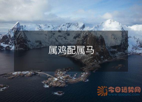 属鸡配属马