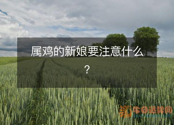 属鸡的新娘要注意什么?