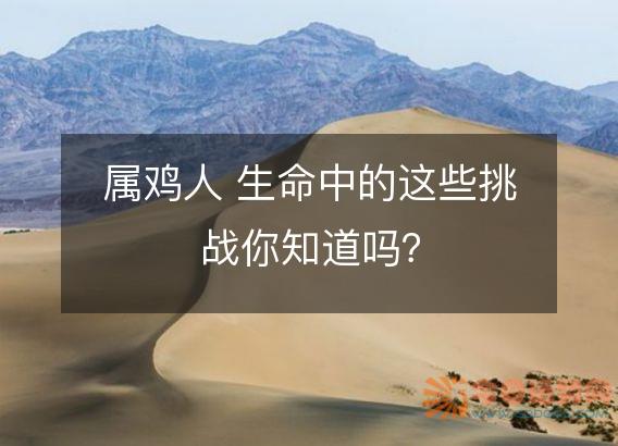 属鸡人 生命中的这些挑战你知道吗?