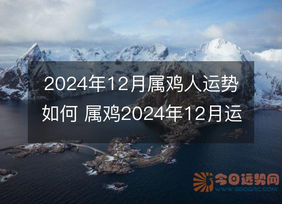 2025年12月属鸡人运势如何 属鸡2025年12月运程好吗