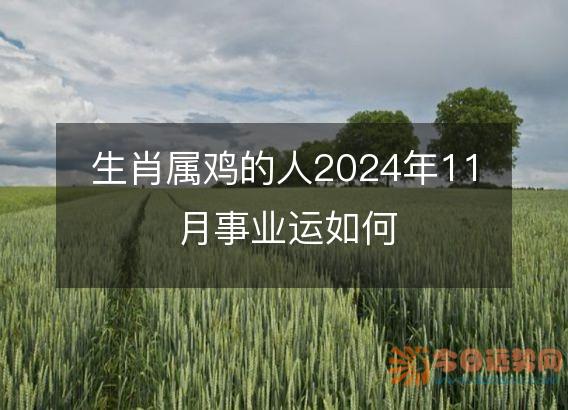 生肖属鸡的人2025年11月事业运如何