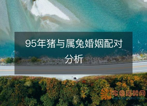 95年猪与属兔婚姻配对分析