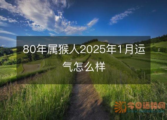 80年属猴人2025年1月运气怎么样