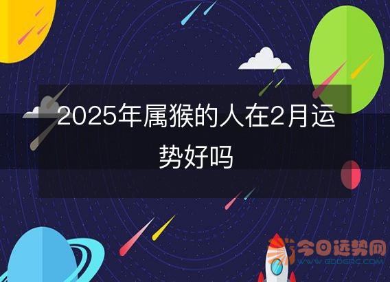 2025年属猴的人在2月运势好吗