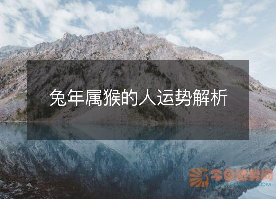 兔年属猴的人运势解析