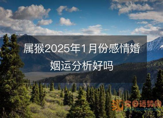 属猴2025年1月份感情婚姻运分析好吗