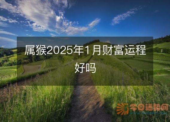 属猴2025年1月财富运程好吗