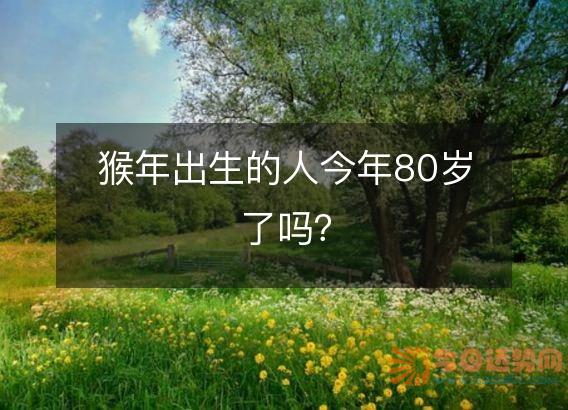 猴年出生的人今年80岁了吗?