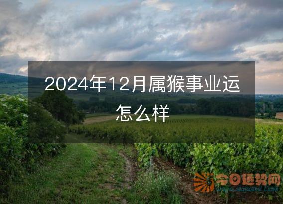 2025年12月属猴事业运怎么样