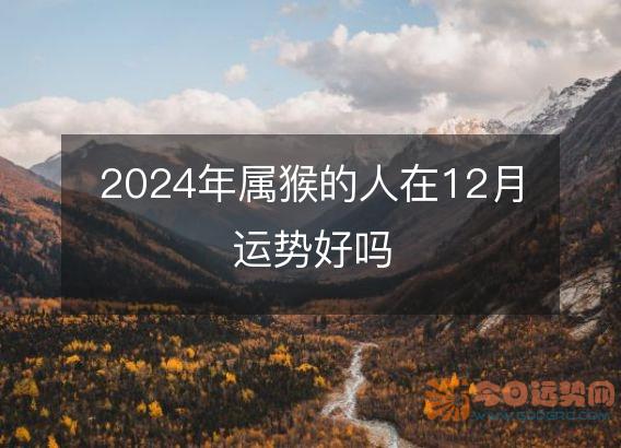 2025年属猴的人在12月运势好吗