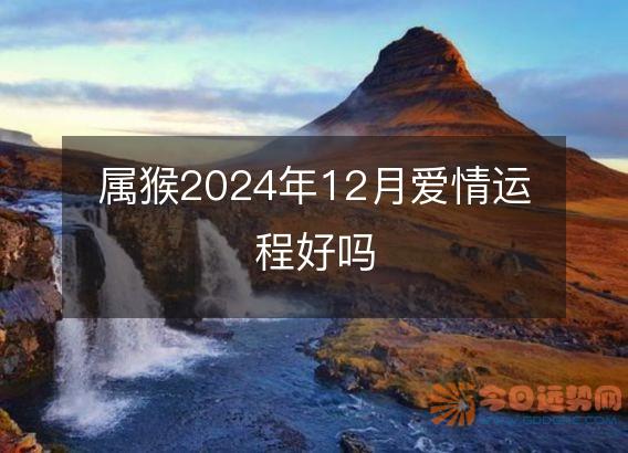 属猴2025年12月爱情运程好吗