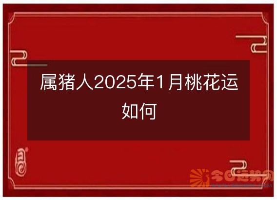 属猪人2025年1月桃花运如何