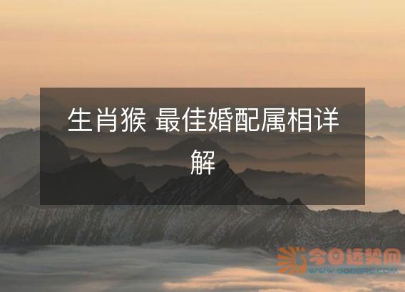 生肖猴 最佳婚配属相详解