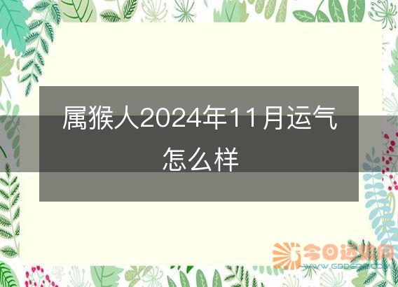 属猴人2025年11月运气怎么样
