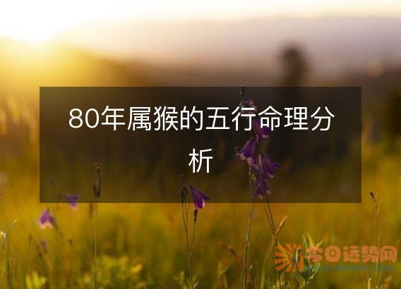 80年属猴的五行命理分析
