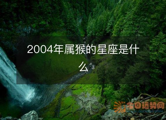 2004年属猴的星座是什么