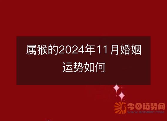 属猴的2025年11月婚姻运势如何